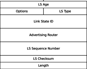 Common Interview Questions for Network Engineers