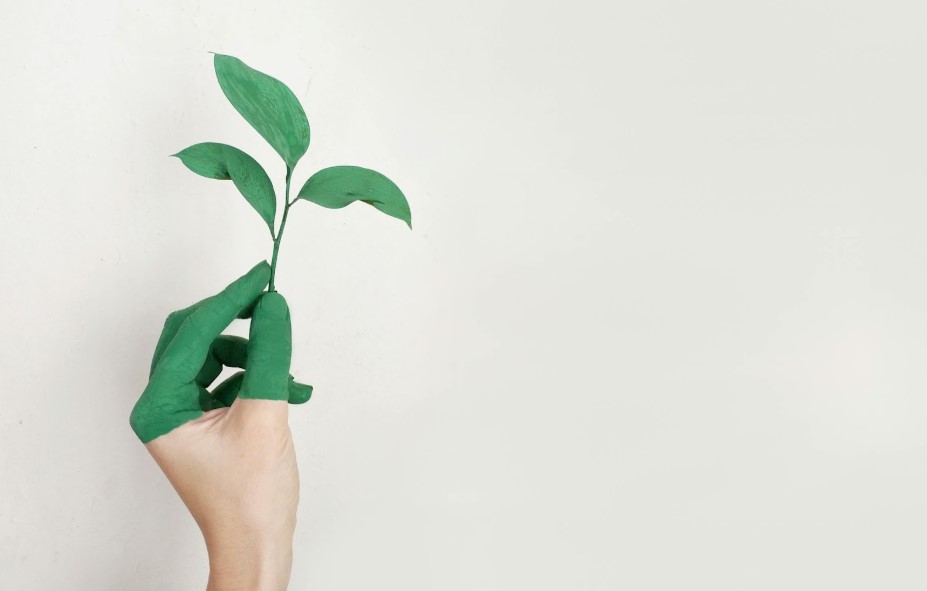 Improving Sustainability In Your Business.